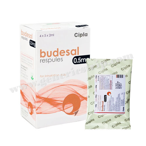 Budesal Respules 0.5 mg (Budesonide/Levalbuterol)