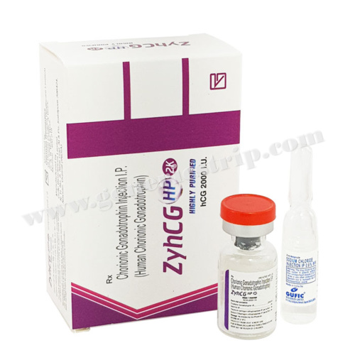 zyhcg-2